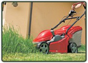 Kosačka MOWY 800 W